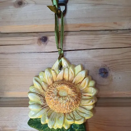 Eraemoekki Jaerven Rannalla 木屋